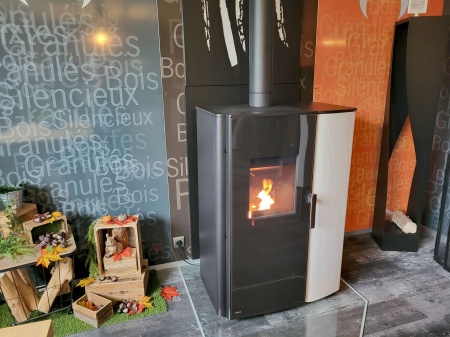 poele-mixte-PARO-pour-quepro.jpg